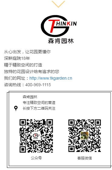 LOGO_看图王.web.jpg